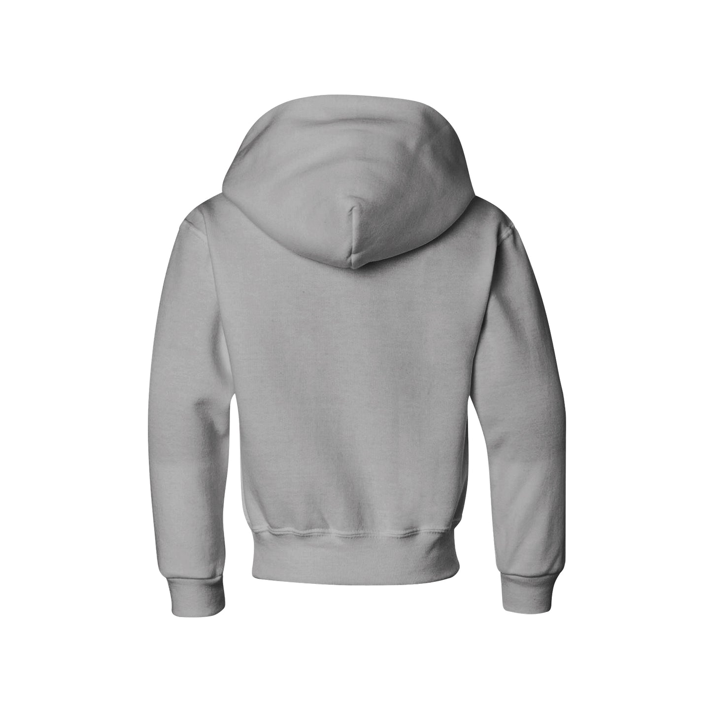 America Vibes - Biblend Hoodie - Youth / Adult Unisex Sizes