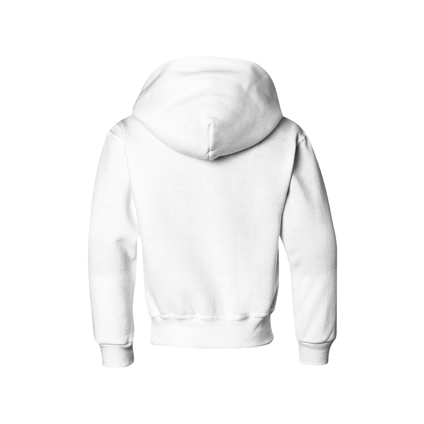 America Vibes - Biblend Hoodie - Youth / Adult Unisex Sizes